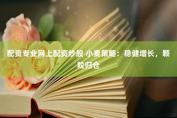 配资专业网上配资炒股 小麦策略：稳健增长，颗粒归仓