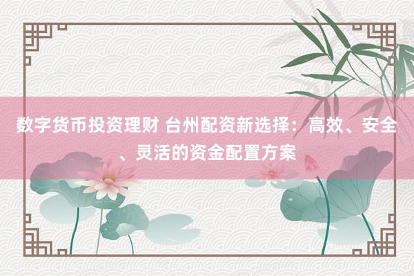 数字货币投资理财 台州配资新选择：高效、安全、灵活的资金配置方案
