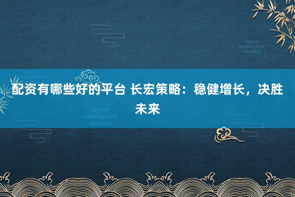 配资有哪些好的平台 长宏策略：稳健增长，决胜未来