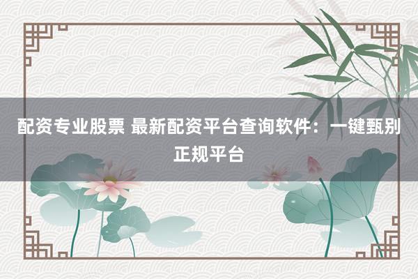 配资专业股票 最新配资平台查询软件：一键甄别正规平台