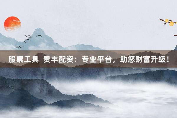 股票工具  贵丰配资：专业平台，助您财富升级！