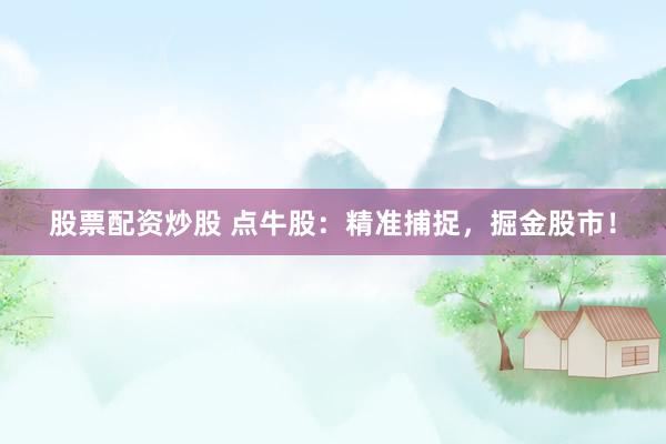 股票配资炒股 点牛股：精准捕捉，掘金股市！