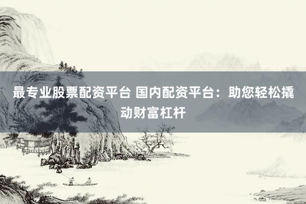 最专业股票配资平台 国内配资平台：助您轻松撬动财富杠杆