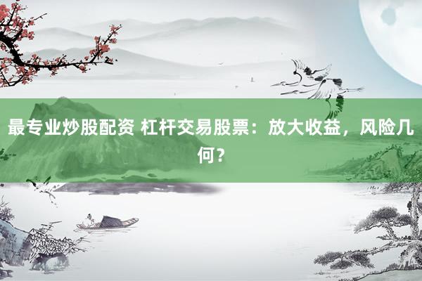 最专业炒股配资 杠杆交易股票：放大收益，风险几何？