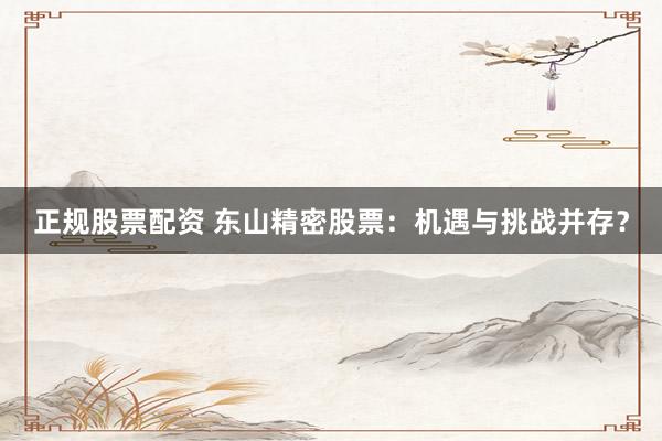 正规股票配资 东山精密股票：机遇与挑战并存？