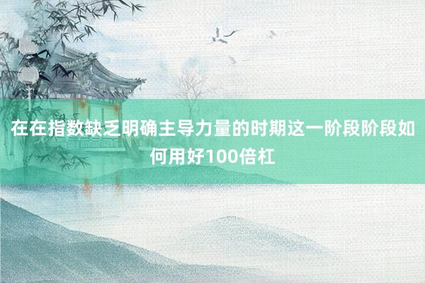 在在指数缺乏明确主导力量的时期这一阶段阶段如何用好100倍杠