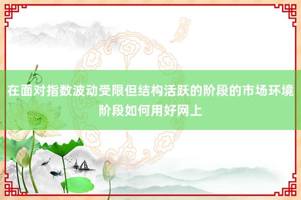 在面对指数波动受限但结构活跃的阶段的市场环境阶段如何用好网上