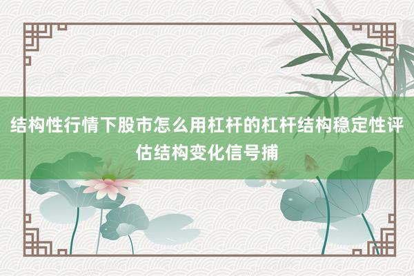 结构性行情下股市怎么用杠杆的杠杆结构稳定性评估结构变化信号捕