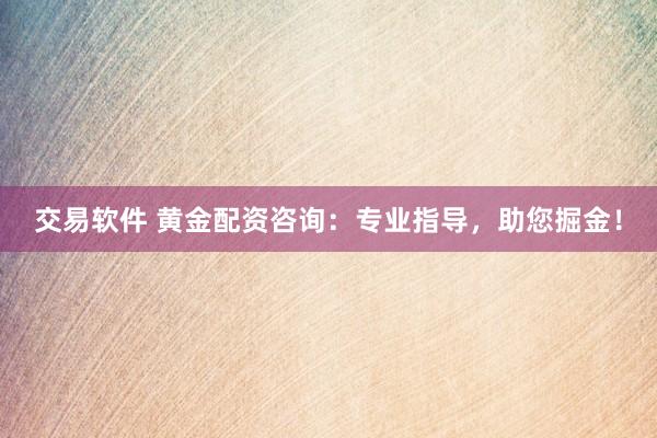 交易软件 黄金配资咨询：专业指导，助您掘金！